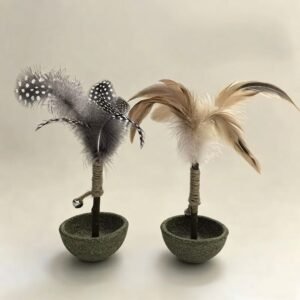 Feather Wand Toy Set with Weighted Base